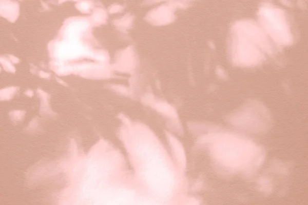 ピンク色の葉の抽象的な光影ボケの背景 自然な斜めの葉の木の枝パステルベージュの影と壁に日光 影のオーバーレイ効果の葉のモックアップ グラフィックレイアウト — ストック写真