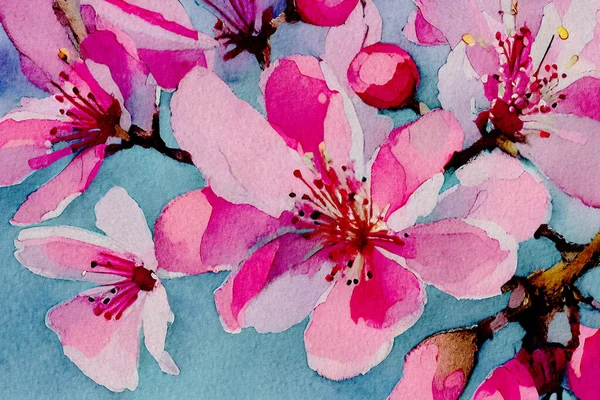Acquerello Fiori Ciliegio Fiori Sakura Pittura Petalo Rosa Sfondo Viola — Foto Stock