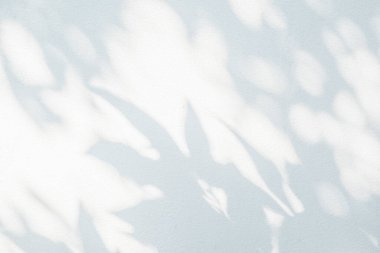 Shadow and sunshine of leaf reflection. Jungle leaves tree gray darkness shade and light on wall wallpaper, shadows overlay effect, mockup design. Grey tropical shadow foliage artistic backgroun