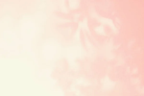 Ombra Foglia Luce Sfondo Rosa Pastello Parete Natura Foglie Tropicali — Foto Stock