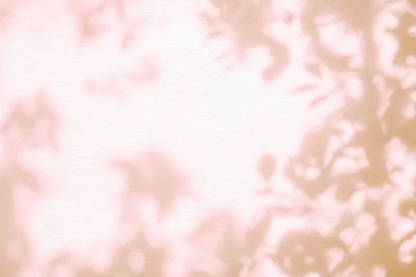 Bladskugga Och Ljus Vägg Rosa Pastell Bakgrund Natur Tropiska Blad — Stockfoto