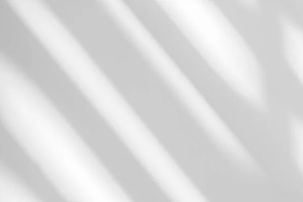 Gray Shadow Light Blur Abstract Background White Wall Window Dark — Stok fotoğraf