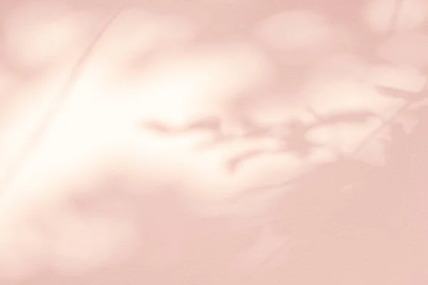 Тень Листьев Свет Стене Розовый Пастельный Фон Природа Тропических Листьев — стоковое фото