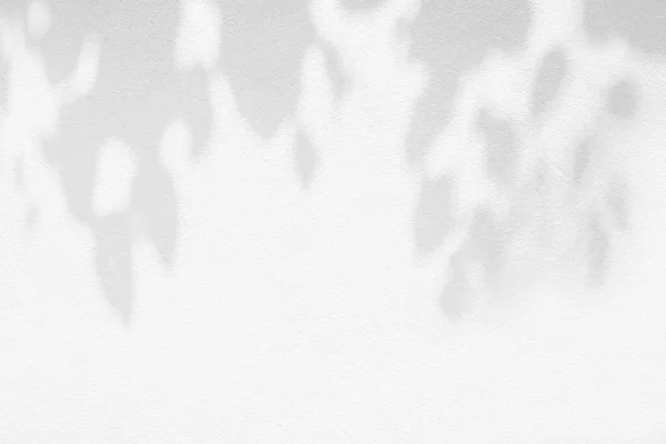 Тінь Листя Світло Фоні Стіни Природа Тропічного Листя Гілки Дерева — стокове фото