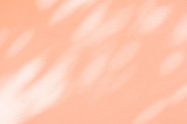 Işık ve gölge pembe biege pastel soyut arka plan. Beyaz duvar dokusunda doğal gölgeler ve güneş ışığı çapraz kırılması. Gölge kaplama efekti yeşillik modeli, pankart grafik düzeni