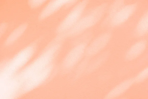 Светло Розовый Темно Коричневый Фон Натуральные Тени Листьев Преломление Диагонали — стоковое фото