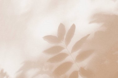 Yaprak gölgesi ve duvar bej rengi pembe arka planda ışık. Doğa tropikal yapraklar bitki ve ağaç gölgesi. Arka plan duvar kağıdı ve tasarımı için güneş ışığı deseni var. Gölge effec.