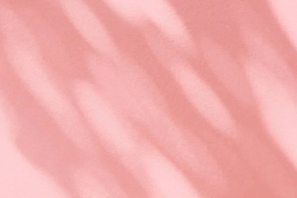 Jasny Cień Różowy Pastelowe Abstrakcyjne Tło Naturalne Liście Cienie Promienie — Zdjęcie stockowe