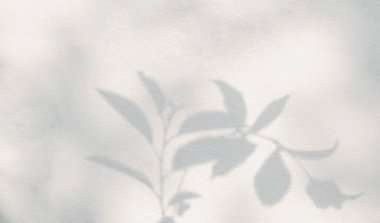 Shadow and sunshine of leaf reflection. Jungle leaves tree gray darkness shade and light on wall wallpaper, shadows overlay effect, mockup design. Grey tropical shadow foliage horizontal banner