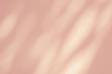 Açık ve koyu pembe renkli, soyut arkaplan. Beyaz beton duvar dokusunda doğal gölgeler ve güneş ışığı çapraz kırılması. Gölge kaplama efekti yeşillik modelleme, pankart grafik düzenleme
