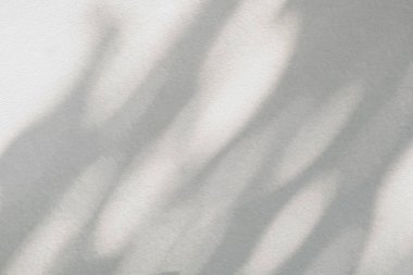 Açık ve koyu pembe renkli, soyut arkaplan. Beyaz beton duvar dokusunda doğal gölgeler ve güneş ışığı çapraz kırılması. Gölge kaplama efekti yeşillik modelleme, pankart grafik düzenleme