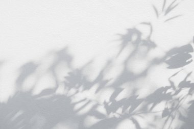 Gölge ve güneş ışığı, yaprakların yansıması. Orman gri yaprak bitkileri gölgeler ve arka planda ışıklandırma, doğal gölgeler yeşillendirme efekti duvar kağıdı ve desen