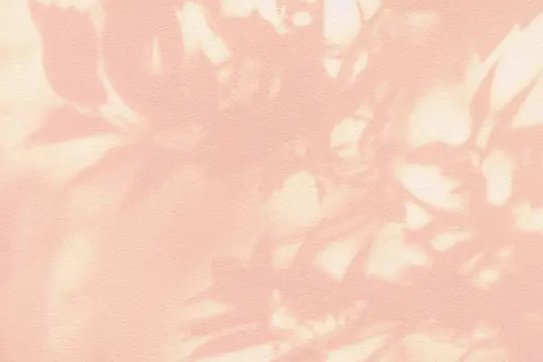 Leaf shadow and light on wall pink background. Nature tropical leaves shadows tree branch and plant shade with sunlight sunshine on wall for  wallpaper, shadow overlay effect foliage mocku