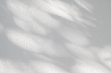 Soyut gri arkaplanın ışık ve gölgesi. Beyaz beton duvar dokusunda doğal gölgeler ve güneş ışığı çapraz kırılması. Yeşillik modellemesi için gölge örtüsü efekti, pankart grafik düzeneği