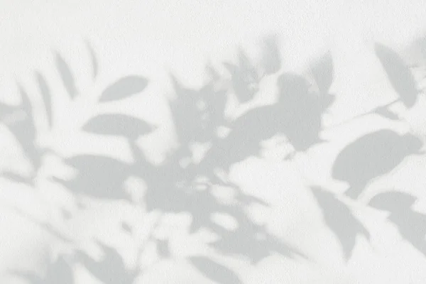 Shadow and sunshine of leaf reflection. Jungle leaves tree gray darkness shade and light on wall wallpaper, shadows overlay effect, mockup design. Grey tropical shadow foliage artistic backgroun