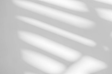 Gray shadow and light blur abstract background on white wall  from window. Dark stripe grey shadows indoor in room  background, monochrome, shadow overlay effect for backdrop and mockup desig