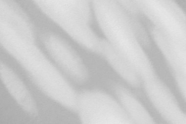 Soyut gölge ve ışık bulanık arkaplanda ışık saçar. Beyaz duvardaki yaprakların doğal gri gölgeleri. Yeşillik modellemesi için gölge örtüsü efekti, pankart grafik düzeneği