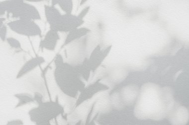 Yaprak gölgesi ve arka planda ışık. Doğa tropikal yaprakları ağaç dalları ve güneş ışığından gelen gölgeli bitki gölgesi arka plan duvar kağıdı için beyaz duvar dokusuna lekelenmiş, gölge effec
