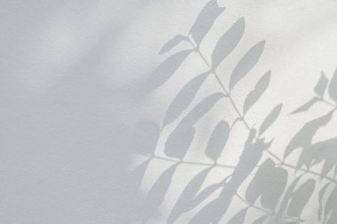 Gölge ve güneş ışığı, yaprakların yansıması. Orman gri yaprak bitkileri gölgeler ve arka planda ışıklandırma, doğal gölgeler yeşillendirme efekti duvar kağıdı ve desen