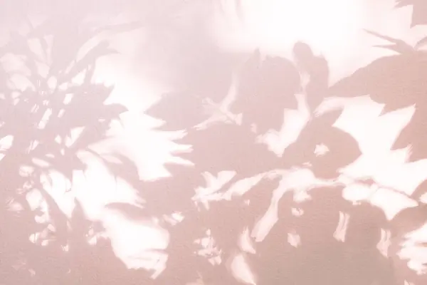 Leaf shadow and light on wall pink abstract background. Nature tropical leaves shadows sunshine of plant shade sunlight on white wall texture, rose gold color shadow overlay effect foliage mocku