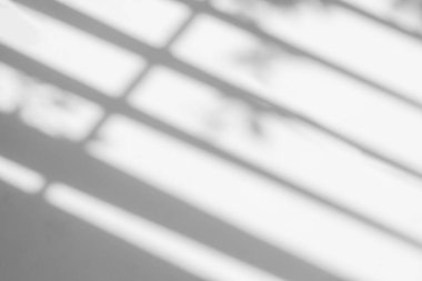 Gray shadow and light blur abstract background on white wall  from window. Dark stripe grey shadows indoor in room  background, monochrome, shadow overlay effect for backdrop and mockup desig