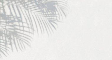 Doğal palmiye yaprağının gri gölgesi ve arka plan ve duvar kağıdı için beyaz duvar dokusuna düşen soyut arkaplan. Tropik palmiye yaprakları yaprak gölgesi efekti, yeşillik modeli ve desen