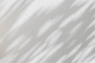 Soyut gölge ve ışık bulanık arkaplanda ışık saçar. Beyaz duvardaki yaprakların doğal gri gölgeleri. Yeşillik modellemesi için gölge örtüsü efekti, pankart grafik düzeneği