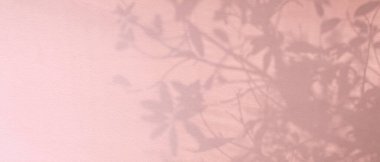 Açık ve gölge pembe bej renkli pastel soyut arka plan. Beyaz duvar dokusunda doğal gölgeler ve güneş ışığı çapraz kırılması. Gölge kaplama efekti yeşillik modeli; sancak grafik düzeneği