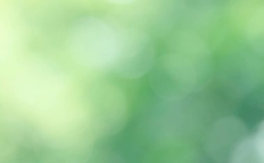 Doğa Bokeh bulanık arkaplan. Yeşil yaprak yaprakları üzerinde güneş ışığı batar, yapraklar bulanıklaşır ilkbaharda güneşli bir günde veya toplamda