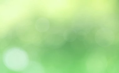 Doğa Bokeh bulanık arkaplan. Yeşil yaprak yaprakları üzerinde güneş ışığı batar, yapraklar bulanıklaşır ilkbaharda güneşli bir günde veya toplamda