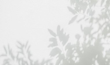 Abstract leaf shadow and light blurred background. Natural tropical plant leaves tree branch shadows sunlight on white wall texture for shadows overlay effect foliage mockup wallpaper and desig