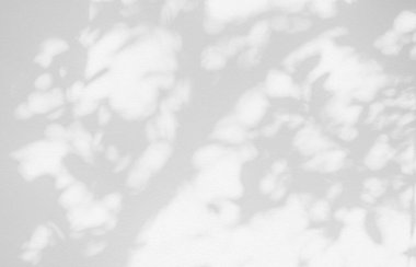 Ağaç gölgesi ve yaprak dalının ışığı. Doğa, arka plan duvar kağıdı tasarımı için tropikal orman ağacı dalları karanlık gölgeler ve güneş ışığından gelen ışık ve gölge effec örtüsü bırakır.