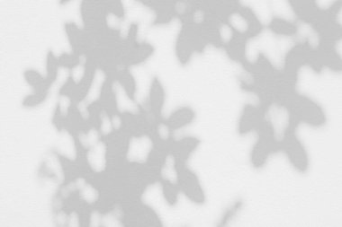 Yaprak gölgesi ve ağaç dalı arka plan, gölgeler yeşillik modellemesi. Doğal tropik yapraklar ağaç dalları koyu gölge ve güneş ışığı beyaz duvar dokusuna lekelenmiş, duvar kağıdı gölgesi