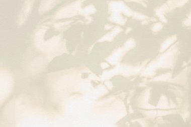 Yaprak gölgesi ve duvar bej arka planında ışık. Doğa tropikal gri yapraklar bitki ve ağaç gölgesi. Arka plan duvar kağıdı ve tasarımı için güneş ışığı deseni var. Gölge effec.