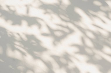 Gölge ve güneş ışığı, duvarda yaprakların yansıması. Orman gri yaprak bitkileri gölgeler duvarın arka planında gölge ve aydınlatma, doğal gölgeler bitki örtüsü duvar kağıdı efekti