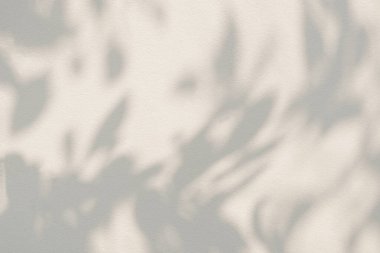 Abstract leaf shadow and light blurred background. Natural tropical plant leaves tree branch shadows sunlight on white wall texture for shadows overlay effect foliage mockup wallpaper and desig