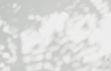 Ağaç gölgesi ve yaprak dalı. Doğa, arka plan duvar kâğıdı ve tasarımı için beyaz duvar dokusuna tropikal orman ağacı dalları karanlık gölge ve aydınlık bırakır.