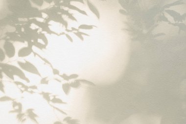 Yaprak gölgesi ve arka planda ışık. Doğa tropikal yaprakları ağaç dalları ve güneş ışığından gelen gölgeli bitki gölgesi arka plan duvar kağıdı için beyaz duvar dokusuna lekelenmiş, gölge effec