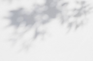 Yaprak gölgesi ve arka planda gri duvar ışığı. Doğal tropikal yapraklar ağaç dallarının gölgesinde güneş ışığı üretir. Arkaplan duvar kağıdı için beyaz duvar dokusu üzerindeki güneş ışığı, gölge efekti taklit yeşillik efekti