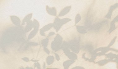 Leaf shadow and light on wall beige background. Nature tropical leaves tree branch and plant shade with sunlight from sunshine on white wall texture for background wallpaper, shadow overlay effec