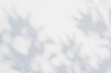 Yaprak gölgesi ve arka planda gri duvar ışığı. Doğal tropikal yapraklar ağaç dallarının gölgesinde güneş ışığı üretir. Arkaplan duvar kağıdı için beyaz duvar dokusu üzerindeki güneş ışığı, gölge efekti taklit yeşillik efekti