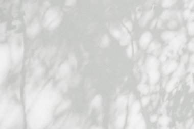 Ağaç gölgesi ve yaprak dalının ışığı. Doğa, arka plan duvar kağıdı tasarımı için tropikal orman ağacı dalları karanlık gölgeler ve güneş ışığından gelen ışık ve gölge effec örtüsü bırakır.