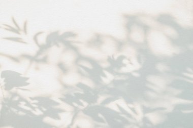 Yaprak yansımasının gölgesi ve güneş ışığı. Orman yaprakları, gri karanlık gölge ve duvar kağıdının üzerindeki aydınlık bulanıklık, gölgeler, sahte tasarım. Gri tropikal gölge sanatsal geri gruplama