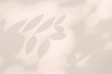 Açık ve gölge pembe bej renkli pastel soyut arka plan. Beyaz duvar dokusunda doğal gölgeler ve güneş ışığı çapraz kırılması. Gölge kaplama efekti yeşillik modelleme, pankart grafik düzenleme