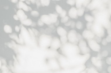 Soyut gölge ve ışık bulanık arkaplanda ışık saçar. Beyaz duvardaki yaprakların doğal gri gölgeleri. Yeşillik modellemesi için gölge örtüsü efekti, pankart grafik düzeneği