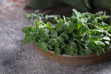 taze yeşil kekik kokulu organik