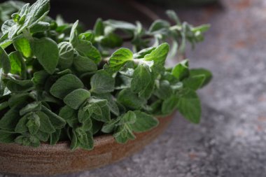 taze yeşil kekik kokulu organik