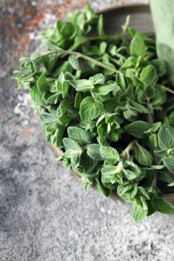 taze yeşil kekik kokulu organik