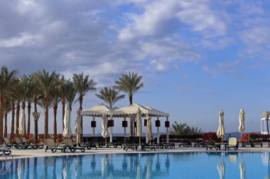 resort swimming pool for relaxation with sunbeds and palm trees
