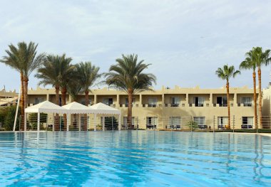 resort swimming pool for relaxation with sunbeds and palm trees